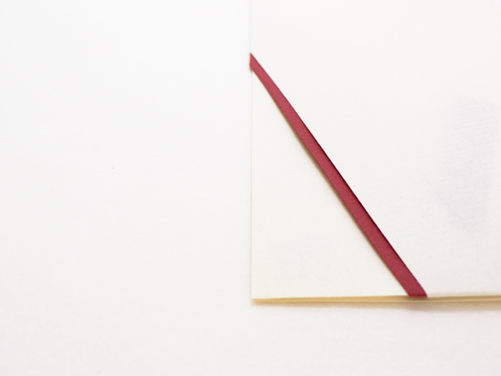 Ａ４折形（おりかた） : 根菖蒲 - 2